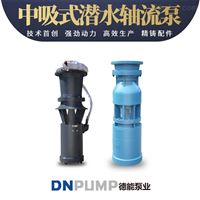 QZB潛水軸流泵安裝方法廠家指導選型報價