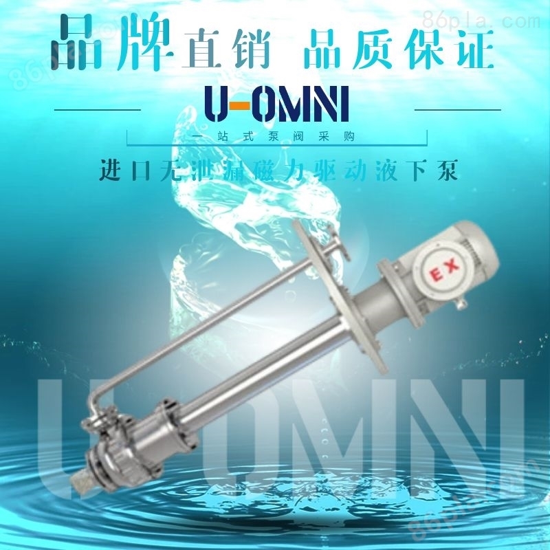 进口无泄漏磁力驱动液下泵-美国U-OMNI