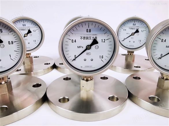 不锈钢压力表可定制津制仪表