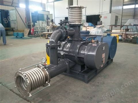 荆州市涂料行业RTSR250WNS蒸汽压缩机