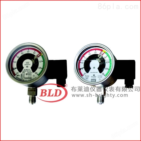 上海布莱迪气体密度控制器标准型径向