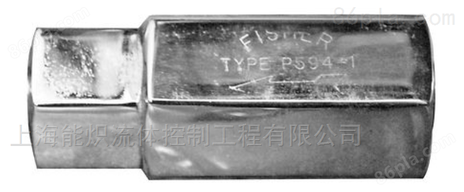 美国费希尔Fisher™ P594-1系列过滤器